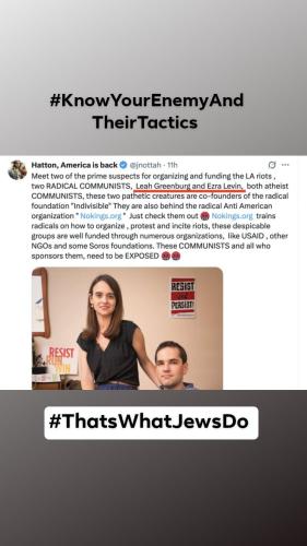 orca-image--1251301421