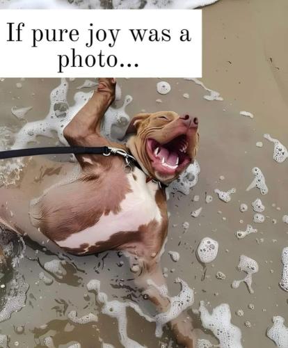 FB_IMG_1749850665508