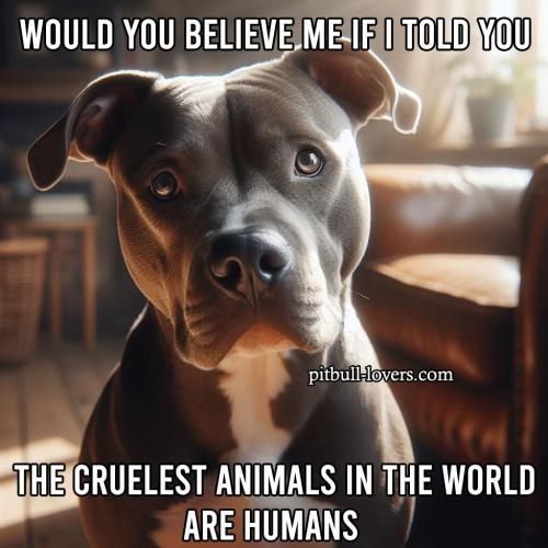 FB_IMG_1750779181196