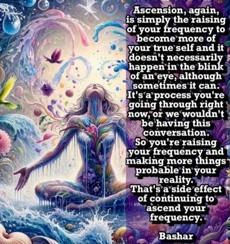 508156222_2217014245420226_479963309242093415_n