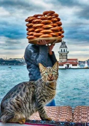 FB_IMG_1558908887941