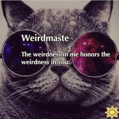 499552417_122266560092197327_6410951580802437325_n