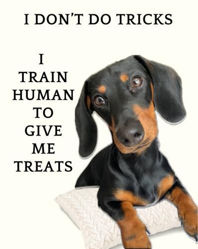 FB_IMG_1750097102174