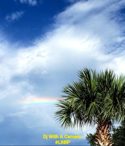 Screenshot_20250624_071158_Gallery