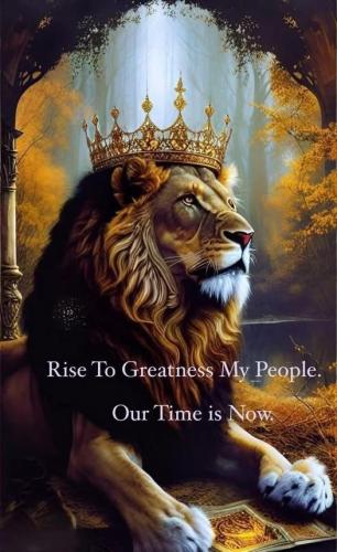 506478239_724229263826602_591355207198496885_n