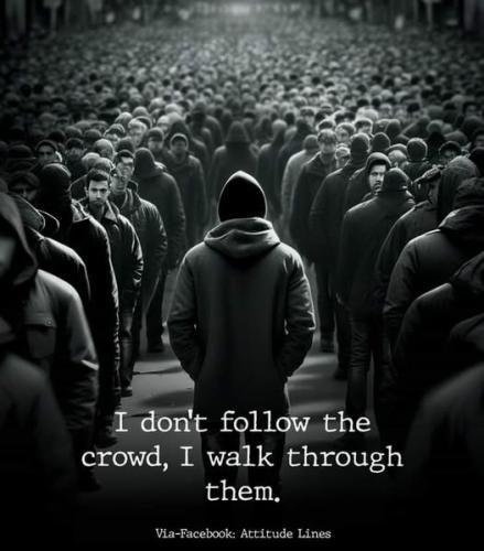 485691449_660790689969068_5004689861492596071_n