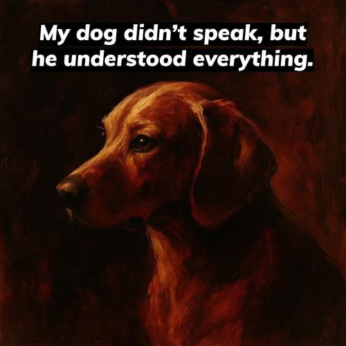 FB_IMG_1750509829054