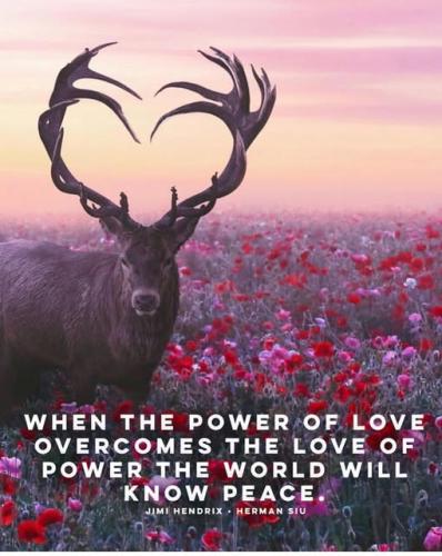 489420559_122228031830023574_1554158480453697096_n