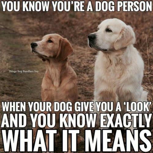 1ba0d3d10a6de493210f972f4acd32d7