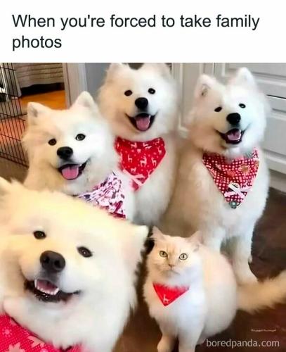 1-684822e9b877b__700