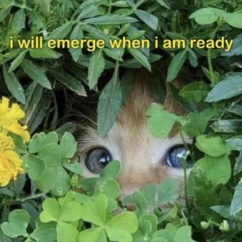 503805063_696061969798546_8210725154305734408_n