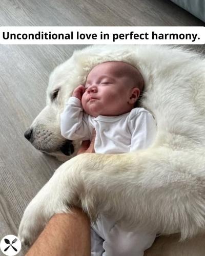 FB_IMG_1749683148744