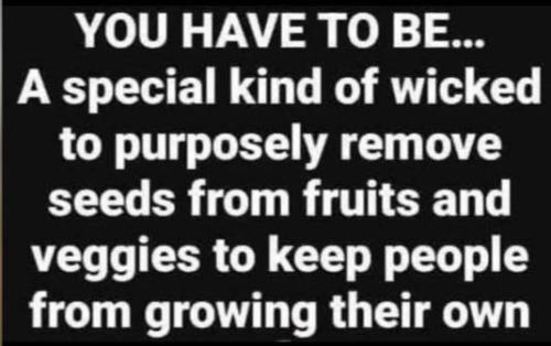 photo_2025-06-18_22-34-47