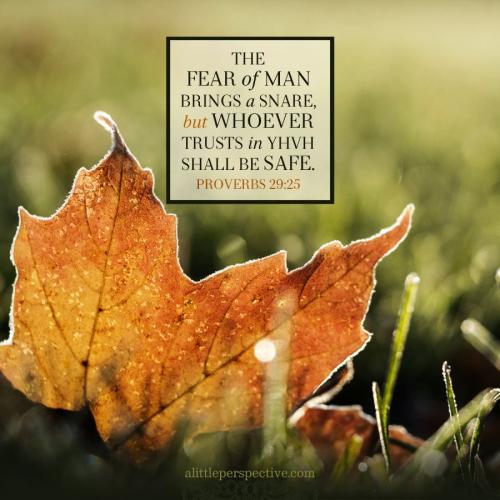 pro-29-25-NKJV-unsplash