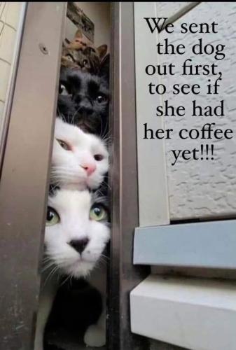 2272190d4f4310010743a2f65776df9b