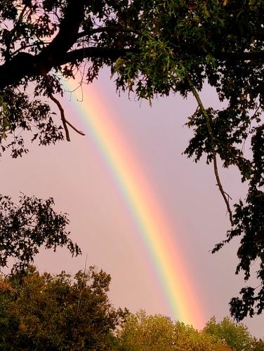 Screenshot_20250603_180916_Gallery