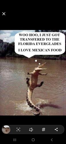 Screenshot_20250625_091721_Wimkin Free Speech Social Media