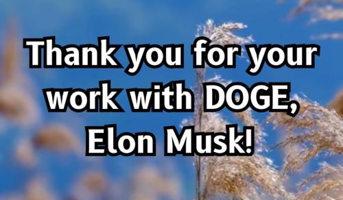 303717EF-79B9-4E81-B7FE-F551CED1E14A