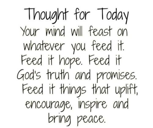 513882553_744674288066920_496079263807790780_n