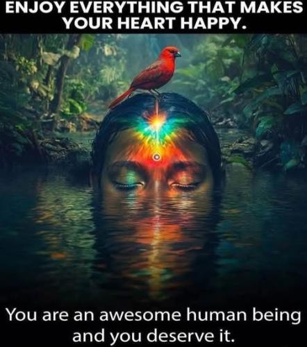 508993272_4119392438292319_789529393297549000_n