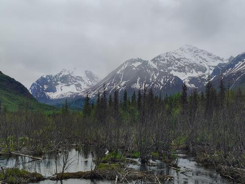 IMG_20250601_122941235_HDR