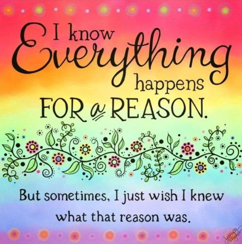 29f42f7a6f063a20a80709916362cf2a