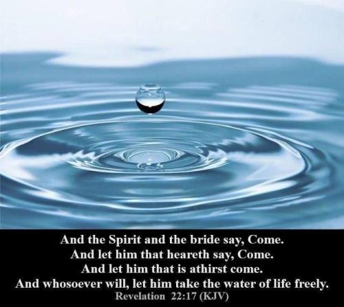 63c565d1-ab5c-451e-8353-d5989afd775f