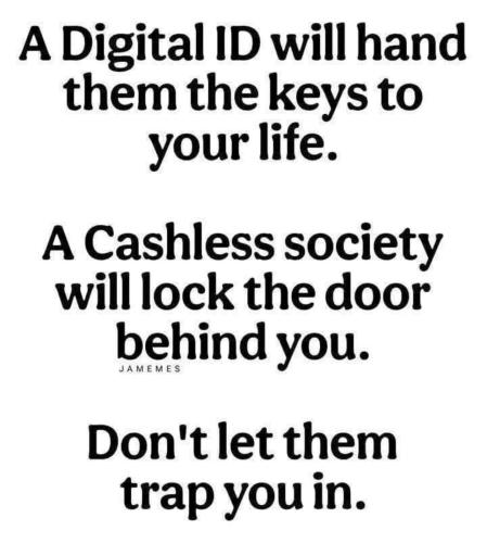 image_E68D1895-CBF2-4E19-9AB3-D1DFA9633205