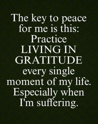 487974444_3996137450673931_2024717028371827432_n