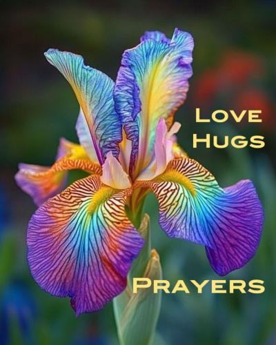 3dba5afa474116a5a3d559a9fc3a5097