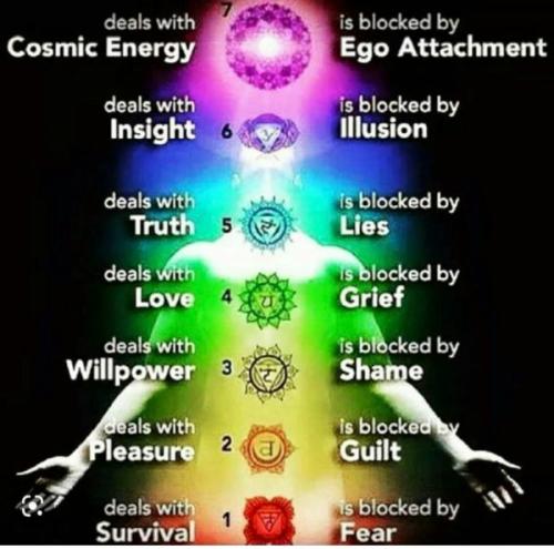 92091ed1a8a7379a6644acbe54a6eec9