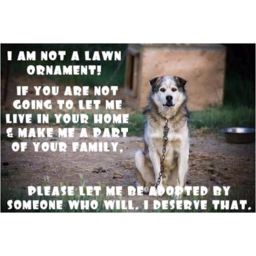 9f173fad1c76e75234206ffe5168cf37