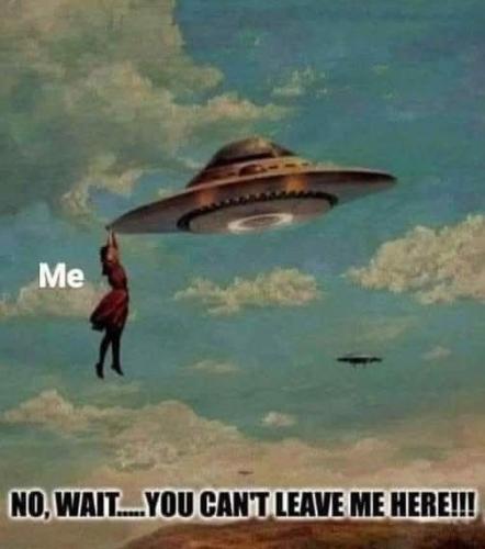 488905547_10235848260849732_8567417319697578231_n