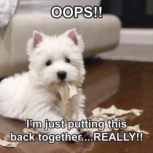 oops-just-putting-this-back-together-really