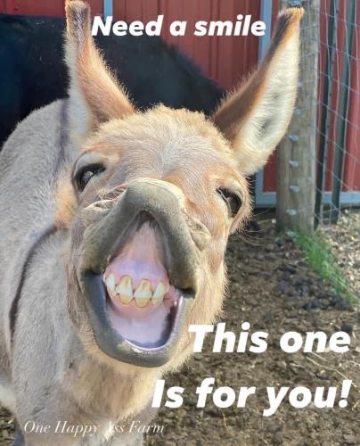 FB_IMG_1750787061899