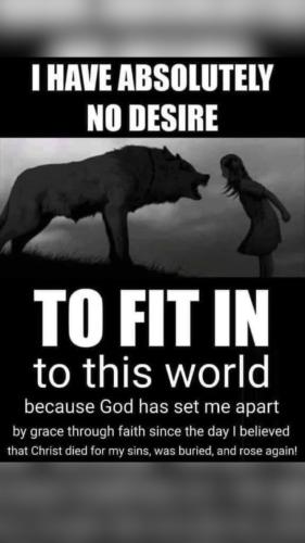 a752533f83aa12b980230cbb24e79019