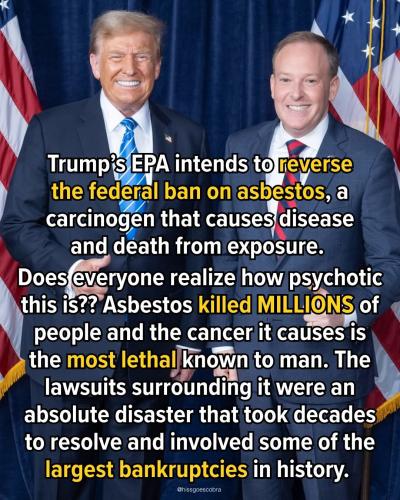 FB_IMG_1750422081834