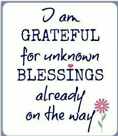 c98b895c7a81162cd2988b91321d00e0