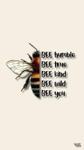 508080594_1539177753708803_3789796275149386677_n