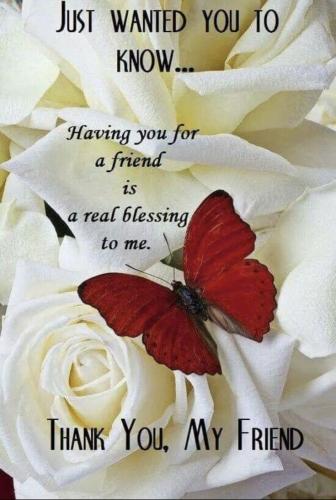 504788045_684097757835381_3932865109039198257_n