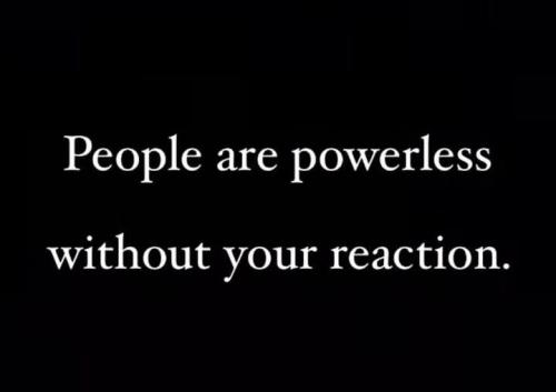 505593546_122257475294023788_6882656475856738150_n