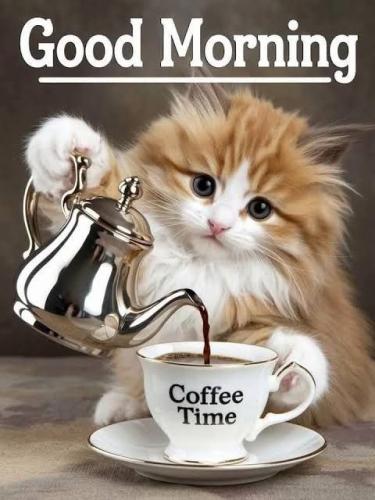 493567308_3799609463664074_6122386225879523248_n