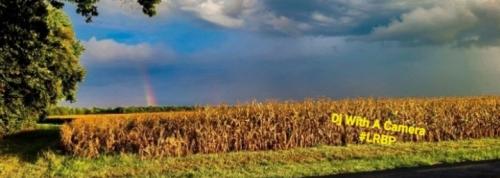 Screenshot_20250619_184923_Gallery