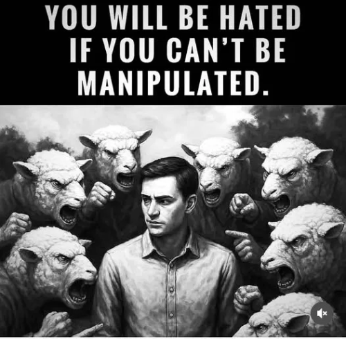 image_2025-06-02_060608841