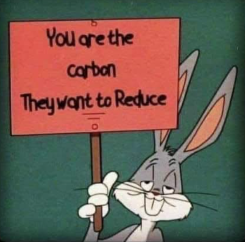 Screenshot 2025-06-11 182415