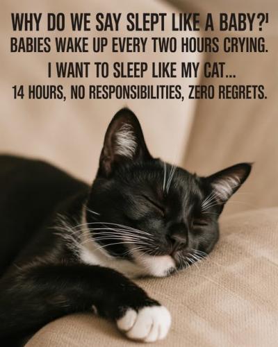 502840995_122137364858779802_1529525581913759936_n