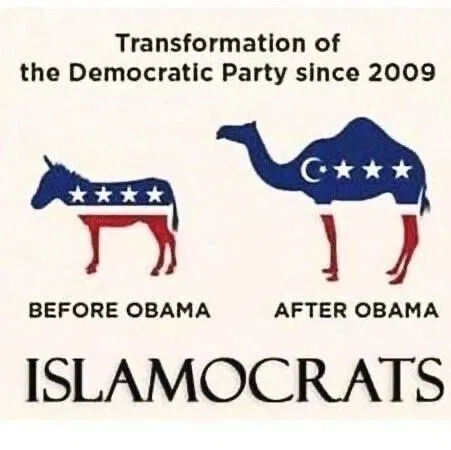 image_2025-06-26_064013199