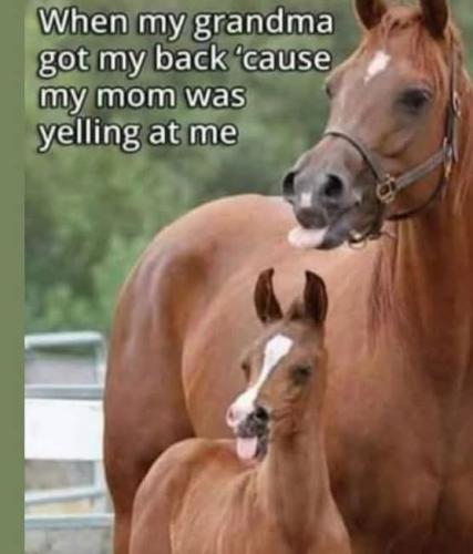 FB_IMG_1749139482354