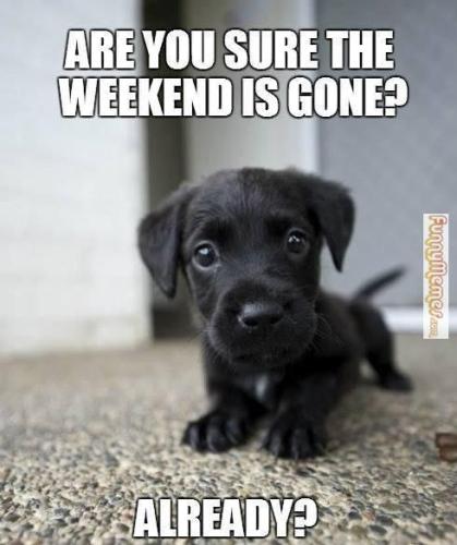 51798405651198eec6b047c811aea28e