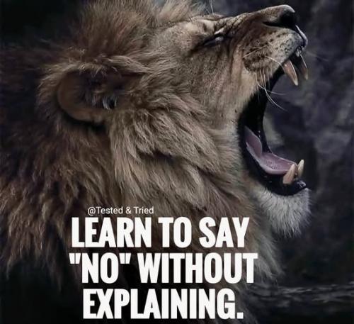 488313759_1208019874224960_7955472538836825258_n